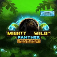 Mighty Wild Panther в ігровому залі Allwin UA
